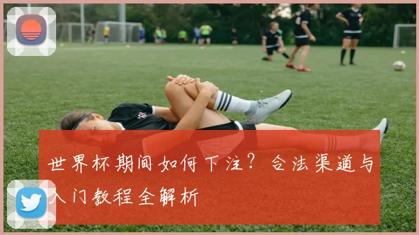 世界杯期间如何下注？合法渠道与入门教程全解析